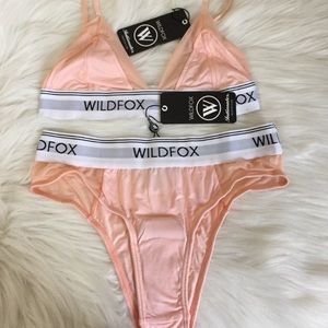 NWT WILDFOX Mesh Panty and Bra Set Pink